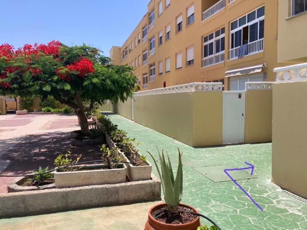 Apartamento Lolo El Medano  Exterior photo